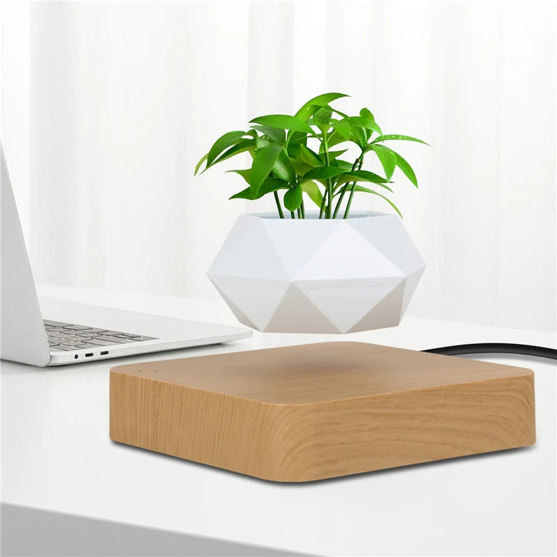 Levitating Air Bonsai Pot | Home Decor