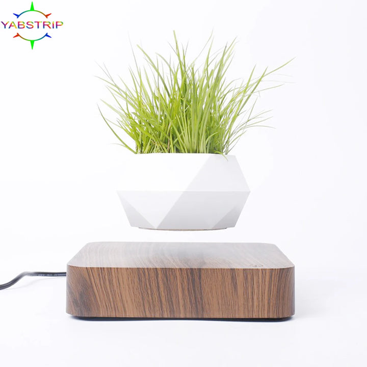 Levitating Air Bonsai Pot | Home Decor